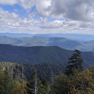 Meet your Posher, Randy